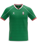 Al-Wehdat SC Official 2026 (Green) Home Jersey ,  Designed By KELME
